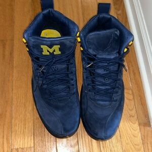Jordan 12 Michigan